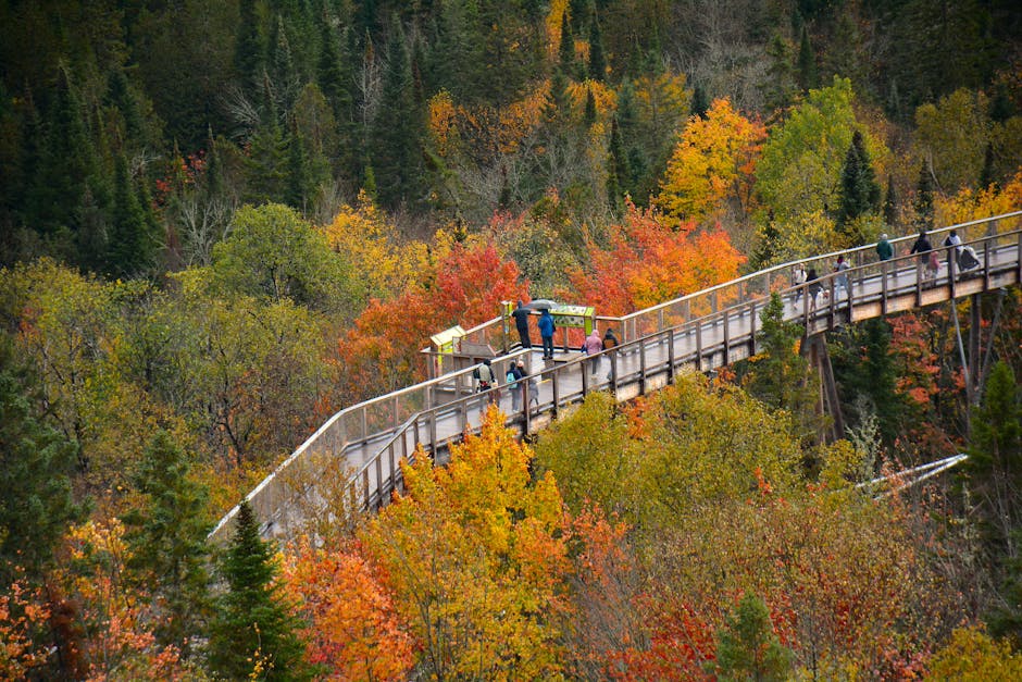 Tourists enjoying a treetop walkway amidst vibrant autumn foliage in Montreal, Canada