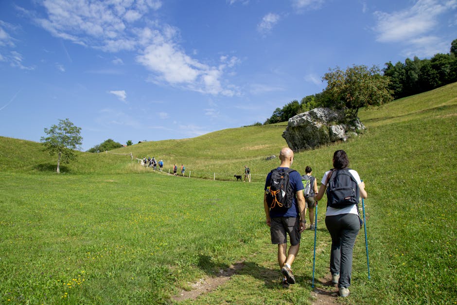 Back view of a couple with backpacks hiking on a green grassland path under a clear blue sky