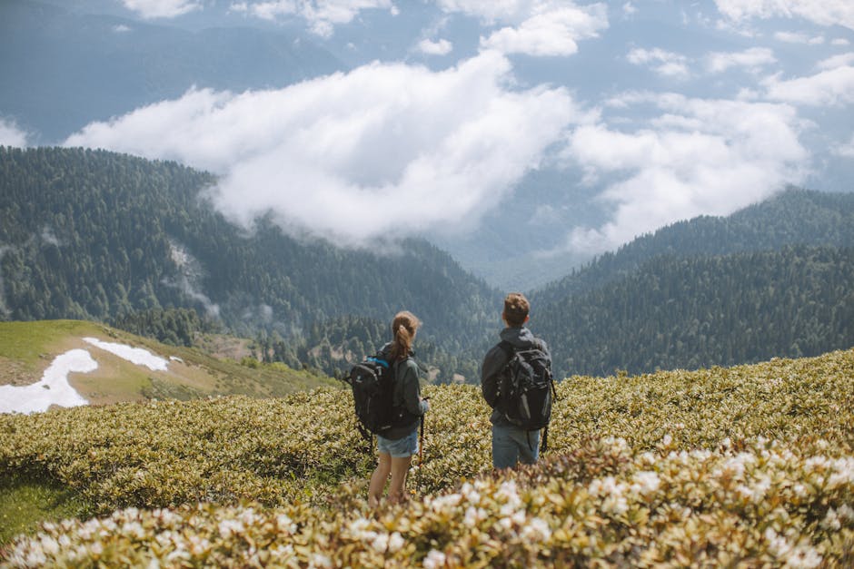 Two hikers with backpacks admire a stunning mountain landscape. Perfect for travel and adventure themes