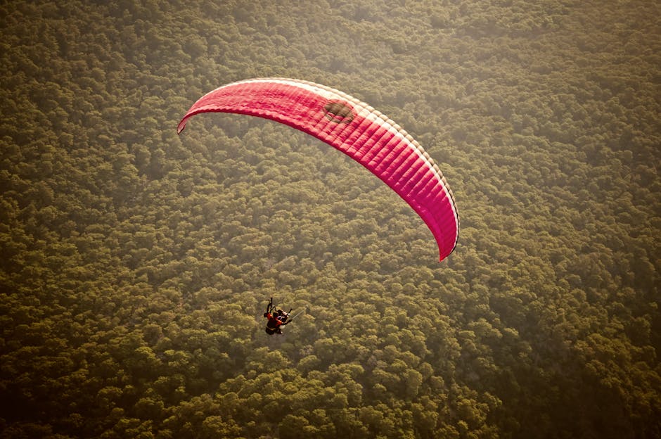 A thrilling paragliding flight over the dense forests of Ölüdeniz, Türkiye, captured from above